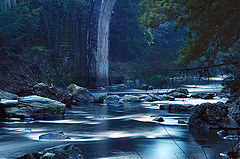 фото "Moonlight serenade"