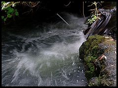 photo "Flow"