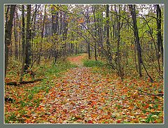 photo "Autumn in park"