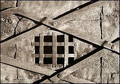 photo "Net"