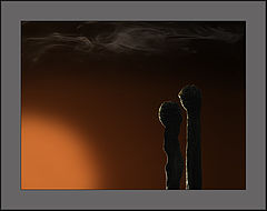 photo "from a life of matches #5: with you i am ready to"