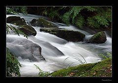 photo "Water stream"