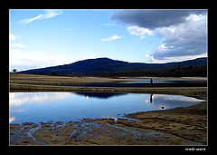 photo "walking distant"