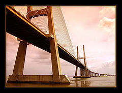 фото "way to south"