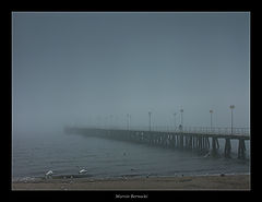 photo "Fog"