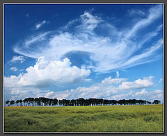 фото "..."
