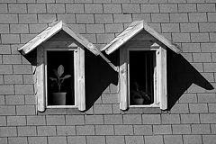 photo "Windows"