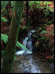 photo "Mini waterfall in Rotorua"