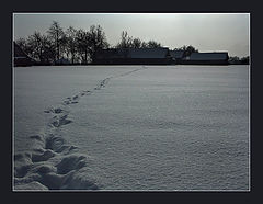 фото "14-00 Напрямик..."