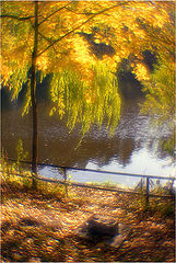 photo "Back streets of autumn 2"