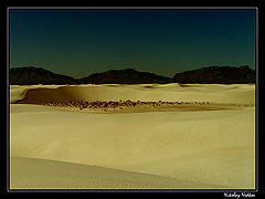 photo "Untitled photo"