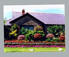 photo "Country Garden."