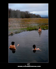 фото "life III"