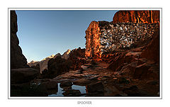 фото "***"