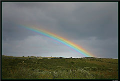 photo "Hope..."