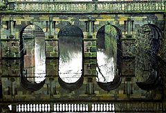 фото "Reflection"