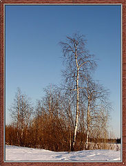 фото "Скоро весна..."