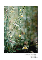 фото "Aquarelle"