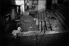 photo "untitled"
