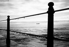 фото "Foz do Douro"