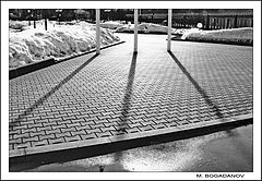 photo "Three lines"