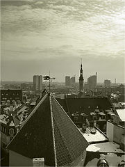 фото "Таллинн"