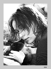 photo "The cats"