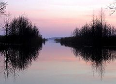 photo "the wetland"