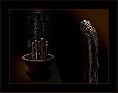 photo "from a life of matches #8:  education …"