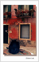 фото "Romeo and Juliet"
