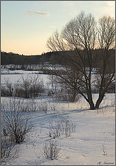 photo "***"