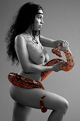 photo "Snake"