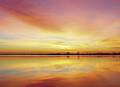 фото "God`s Miracle"
