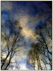 photo "Winter Water-Color"