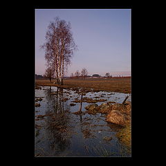 photo "classic"