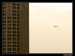photo "Untitled photo"
