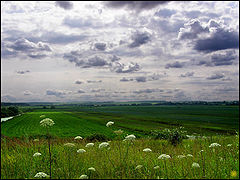 фото "Небеса"