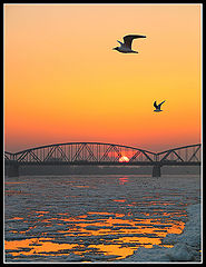 photo "Wisla 1"