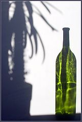 photo "... vampir ..."