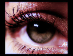 photo "study"