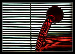 photo "Refractions"