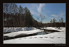 photo "Traces of the Yeti"