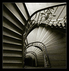 фото "*"