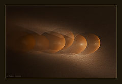 photo "crouching egg"