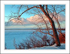 photo "Pink cloud"