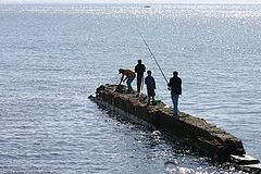 photo "Fishing team"