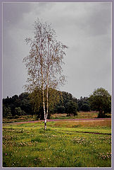 photo "Lone"