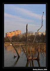 photo "spring"