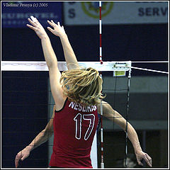 photo "A hands - are main thing in volleyball"