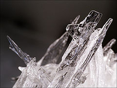 photo "Ice"
